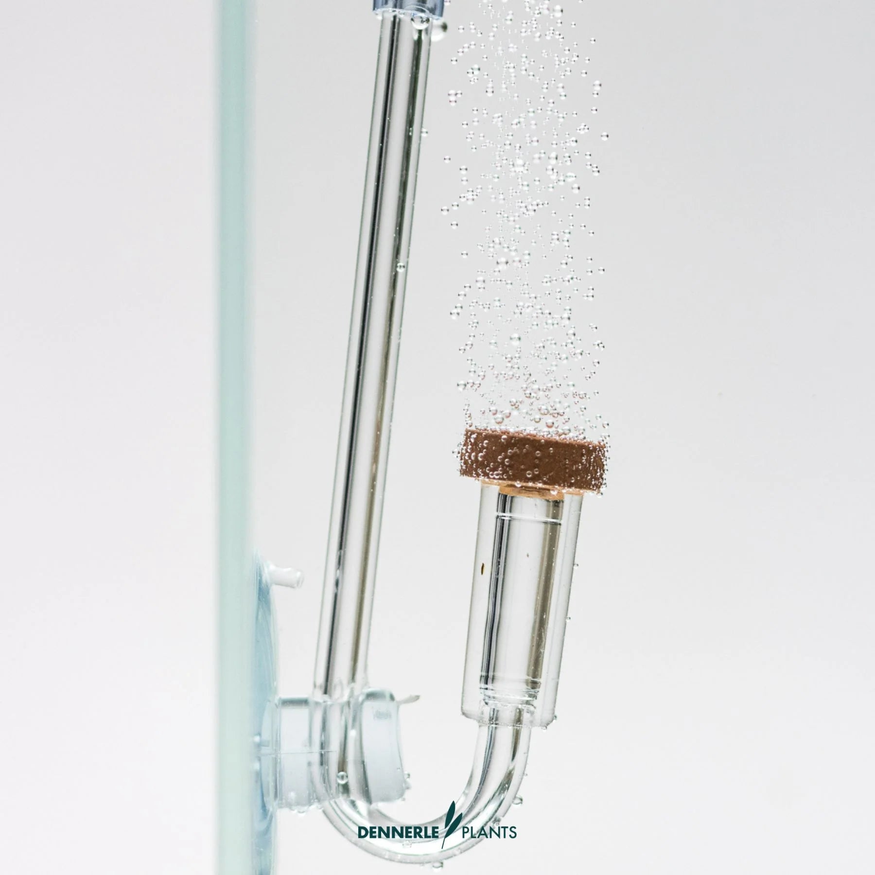 CO2 Starter Kit CO2