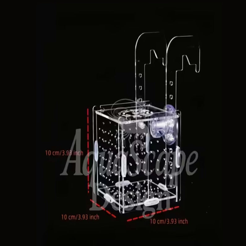 Aquarium Breeder Box – Acrylic Isolation Box 10x10x10cm for Shrimp & Fish Aquarium Equipment
